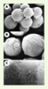 Figure 3. Figure 3.