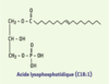 Figure 1. Figure 1.