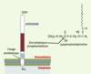 Figure 3. Figure 3.