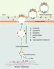 Figure 3. Figure 3.