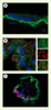 Figure 2. Figure 2.