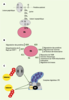 Figure 2. Figure 2.