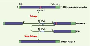 Figure 6.