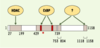 Figure 2. Figure 2.