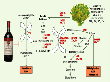 Figure 1.