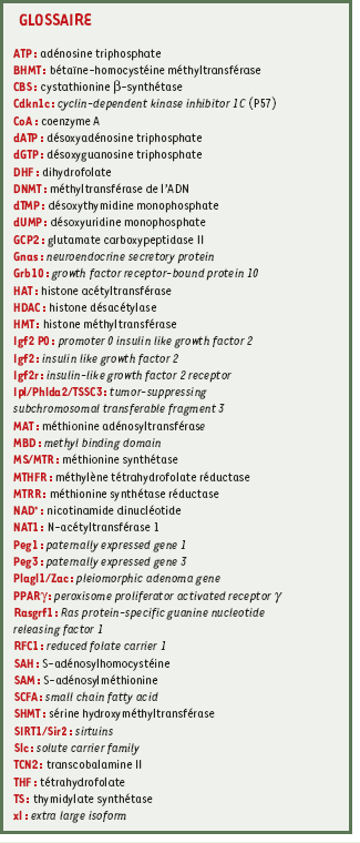 inline-graphic medsci2005214p396-img2.gif