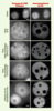 Figure 3. Figure 3.