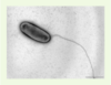 Figure 1. Figure 1.