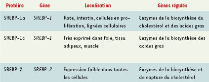 Tableau I.