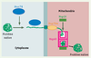 Figure 4. Figure 4.