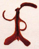 Figure 6.