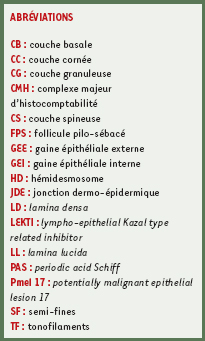 inline-graphic medsci2006222p131-img1.jpg