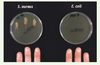 Figure 1. Figure 1.