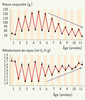 Figure 4. Figure 4.