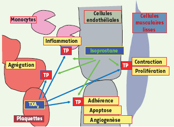 Figure 7.