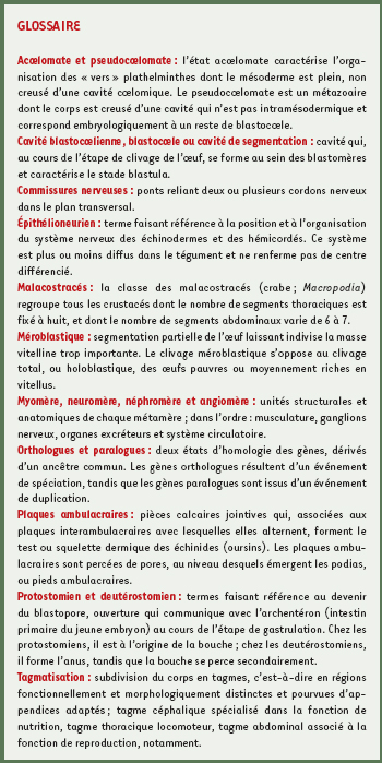 inline-graphic medsci2006225p493-img1.jpg