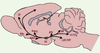 Figure 1. Figure 1.