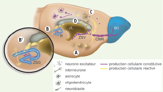 Figure 3.