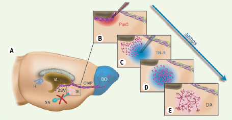 Figure 4.