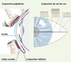 Figure 2. Figure 2.