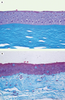 Figure 3. Figure 3.