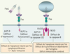 Figure 3. Figure 3.