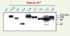 Figure 1. Figure 1.