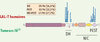 Figure 2. Figure 2.