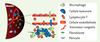 Figure 2. Figure 2.