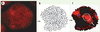 Figure 2. Figure 2.