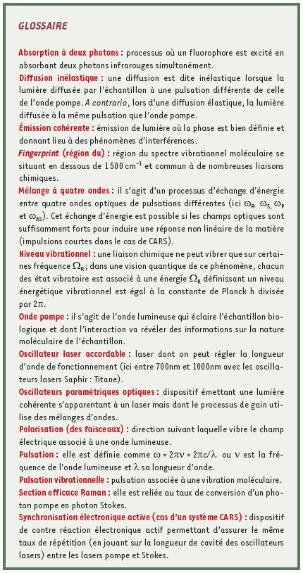 inline-graphic medsci20062210p853-img1.jpg