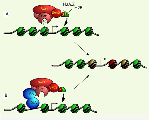 Figure 2.