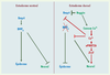 Figure 2. Figure 2.