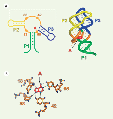 Figure 3.