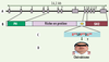 Figure 3. Figure 3.