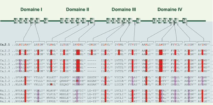 Figure 3.