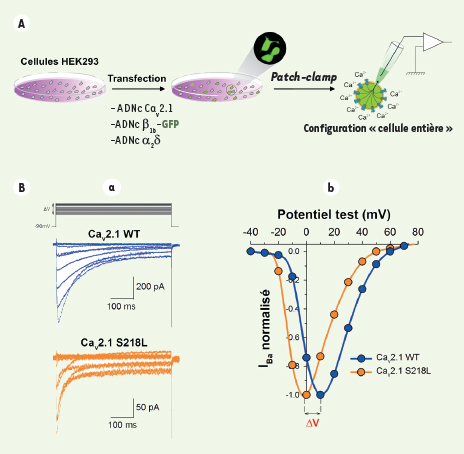 Figure 4.