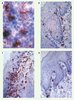 Figure 3. Figure 3.