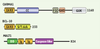 Figure 2. Figure 2.