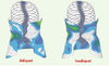 Figure 3. Figure 3.