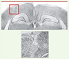 Figure 3. Figure 3.