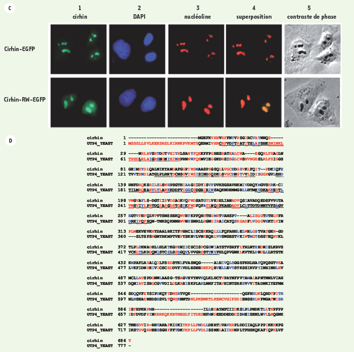 Figure 2.(suite)