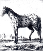 Figure 4. Figure 4.