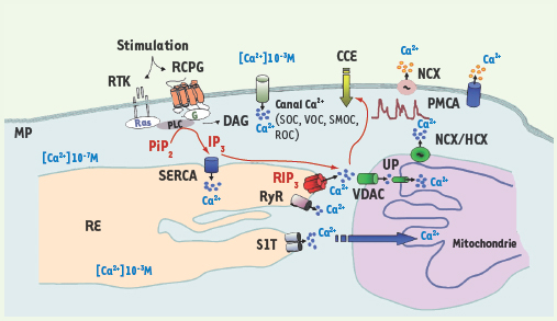 Figure 1.