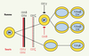 Figure 3. Figure 3.