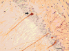 Figure 2. Figure 2.