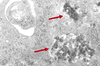 Figure 1. Figure 1.