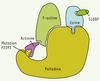 Figure 1. Figure 1.
