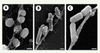 Figure 2. Figure 2.