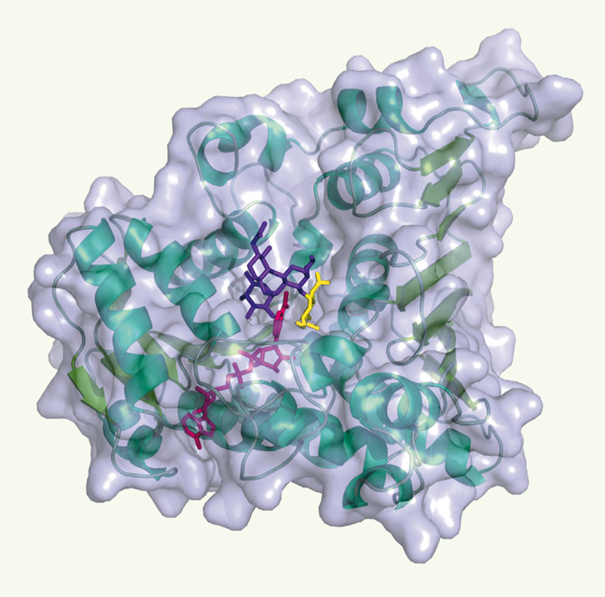 Figure 2.